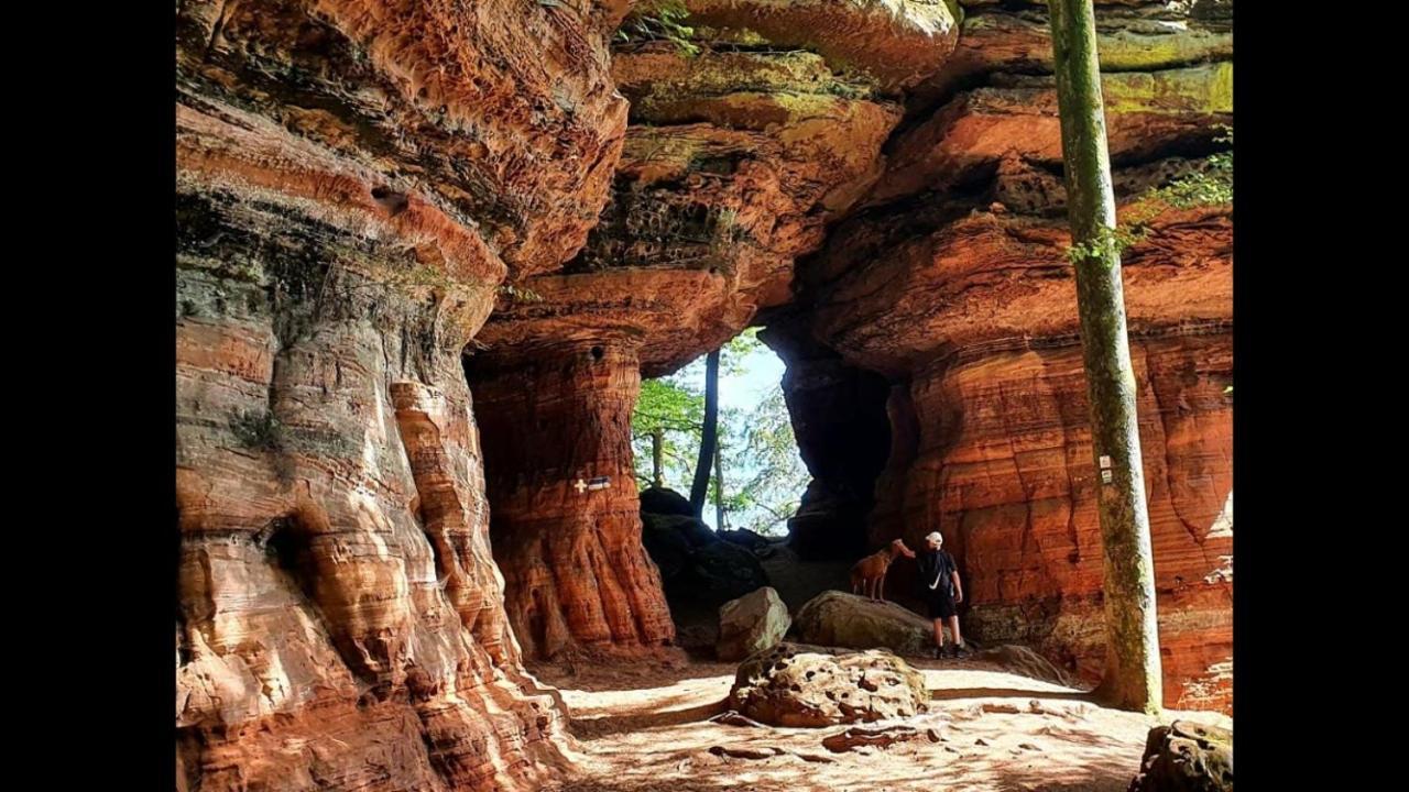 La Petite Halte Villa Lemberg Exteriör bild
